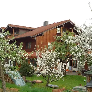Wingen Apartment